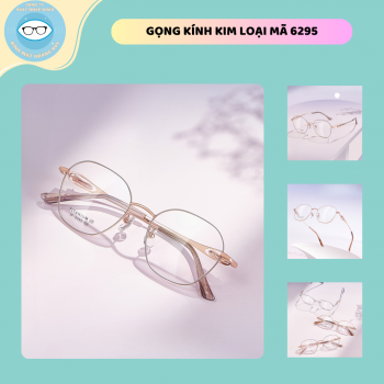 Gọng kim loại mã 6295